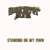 Ragamuffin Sons - Standing on My Own - Single